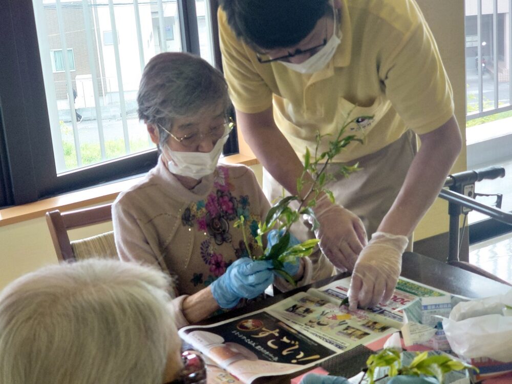 静岡市駿河区有料老人ホーム_新茶の芽の天ぷら