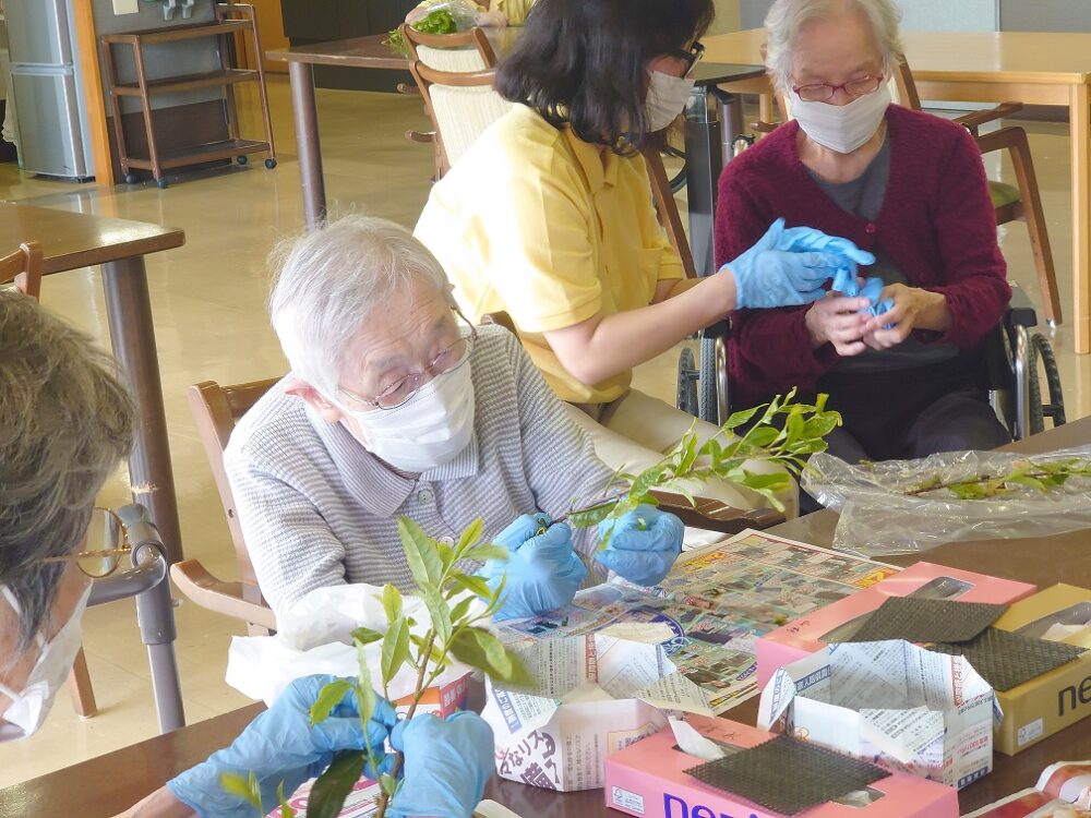 静岡市駿河区有料老人ホーム_新茶の芽の天ぷら