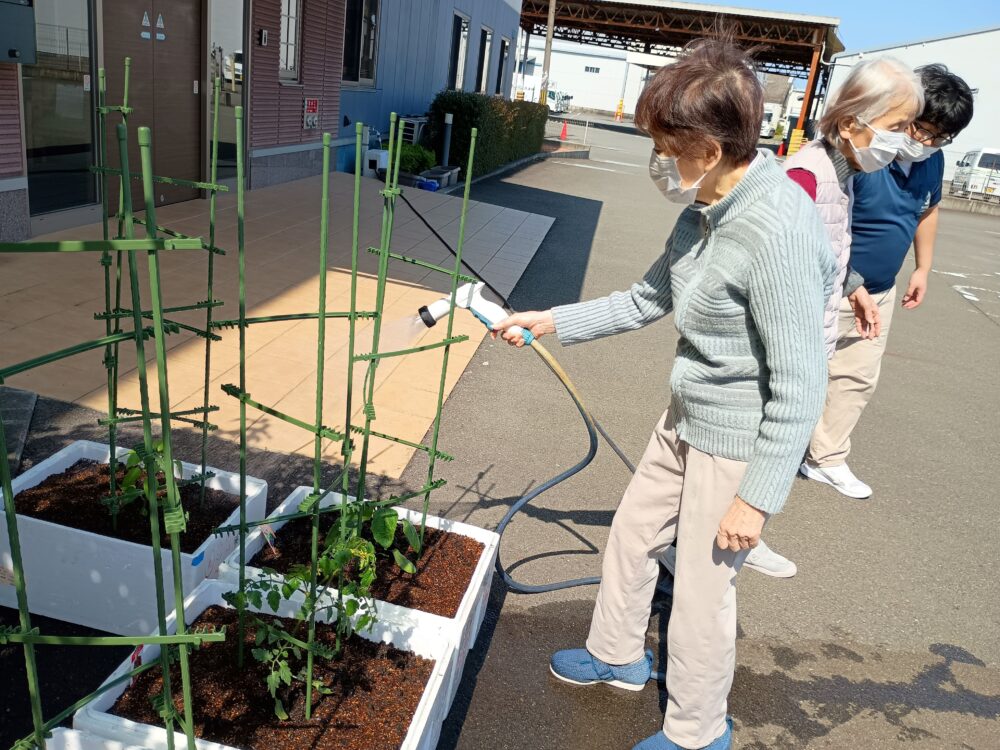 藤枝市老人ホーム_野菜作り活動