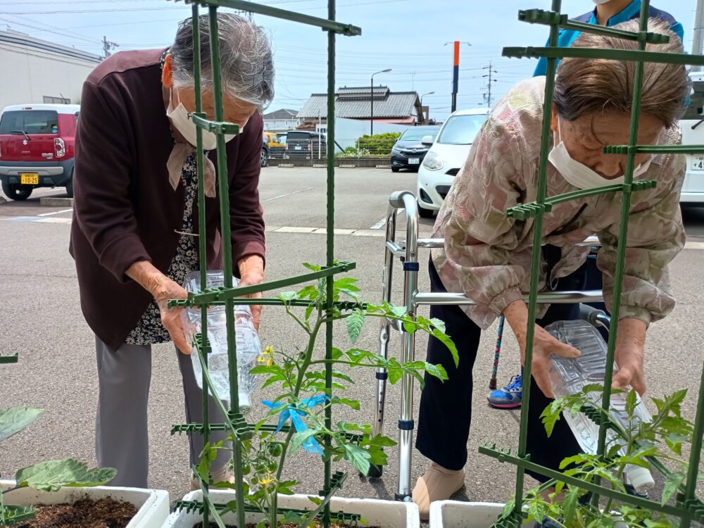 藤枝市老人ホーム_野菜作り活動