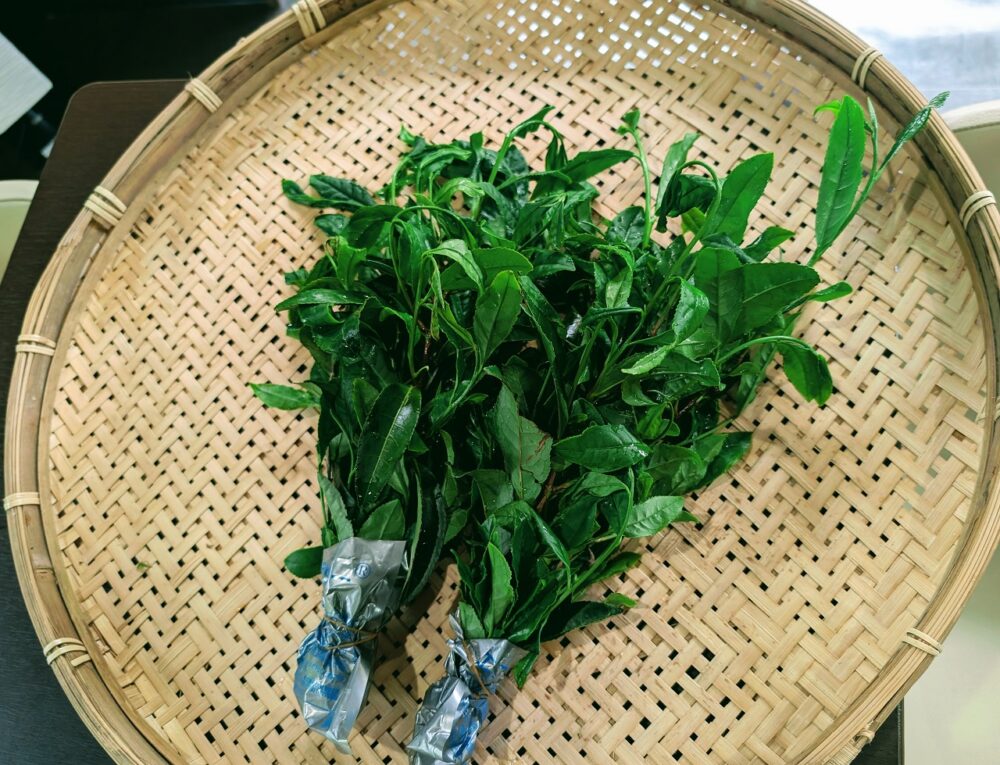 静岡市葵区有料老人ホーム_新茶のてんぷら
