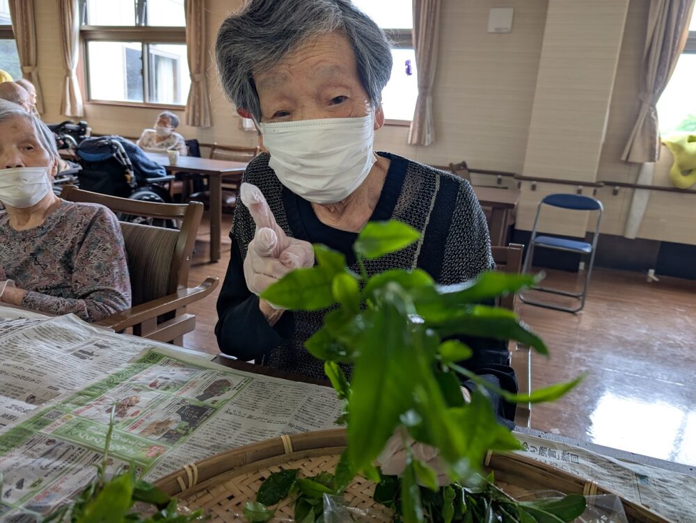 静岡市葵区有料老人ホーム_新茶のてんぷら