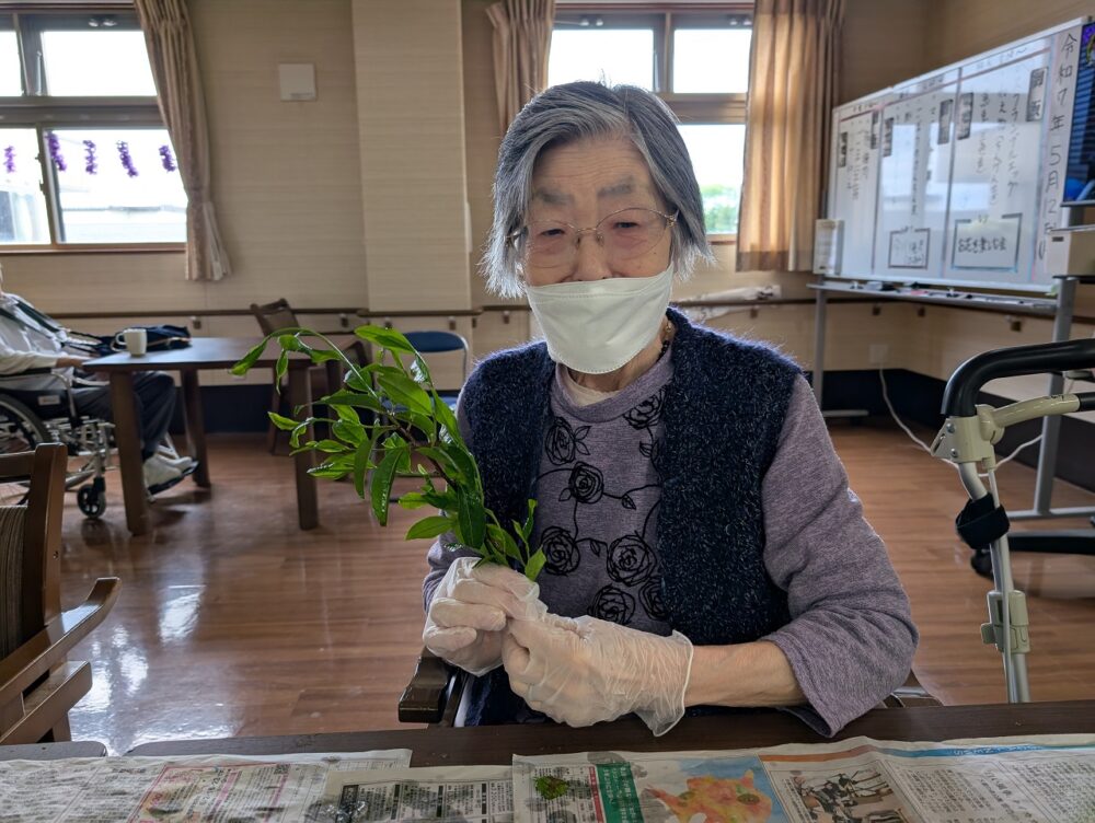 静岡市葵区有料老人ホーム_新茶のてんぷら