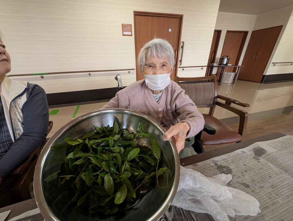 静岡市葵区有料老人ホーム_新茶のてんぷら