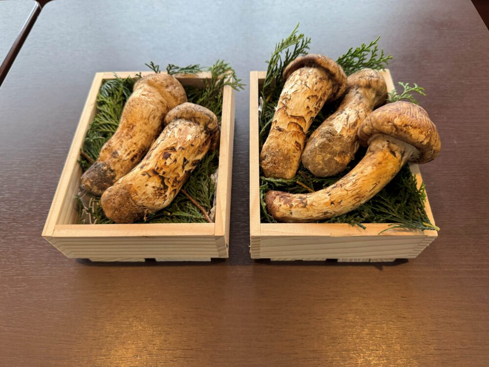 藤枝市老人ホーム_松茸ごはん