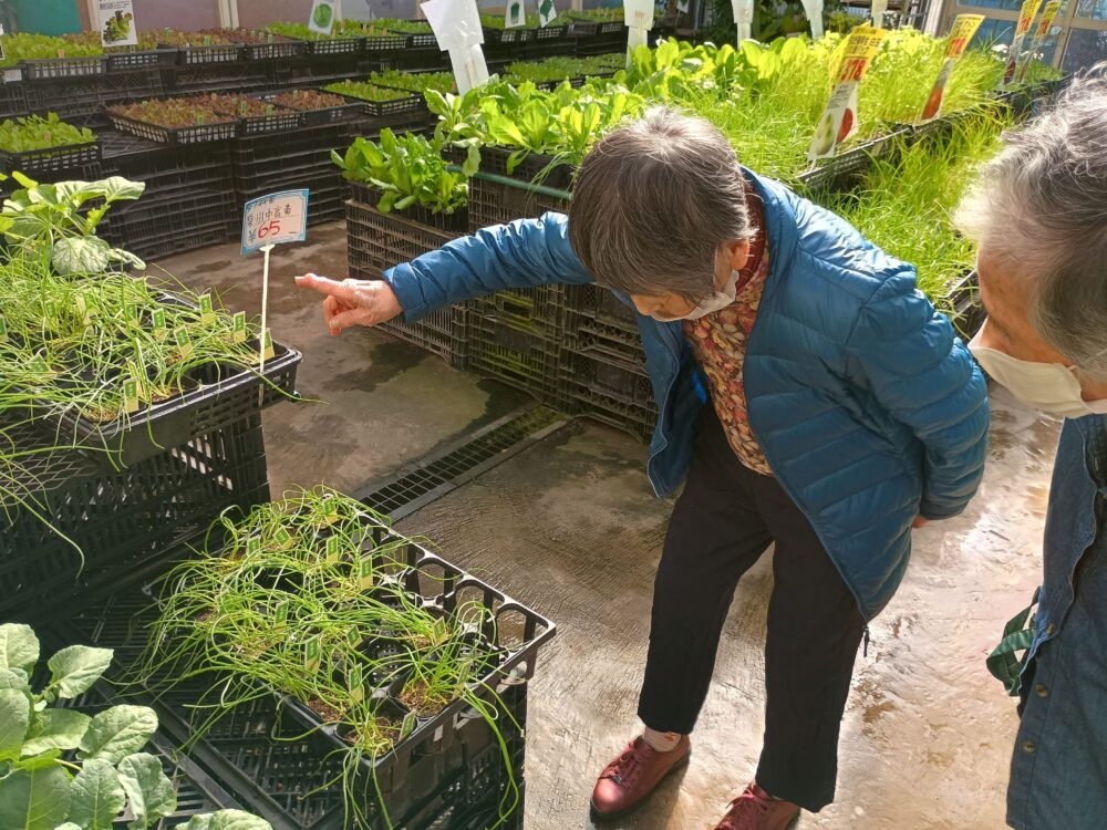 藤枝市老人ホーム_園芸クラブ冬野菜の苗選び植え付け