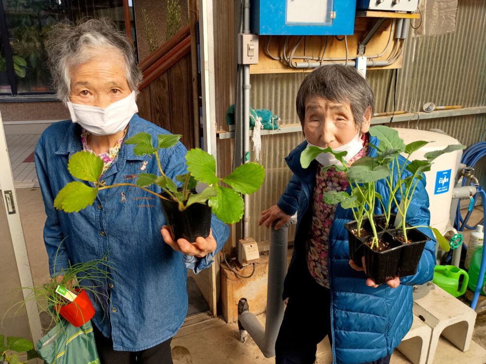 藤枝市老人ホーム_園芸クラブ冬野菜の苗選び植え付け