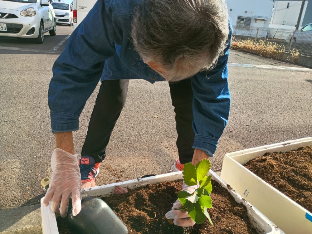 藤枝市老人ホーム_園芸クラブ冬野菜の苗選び植え付け