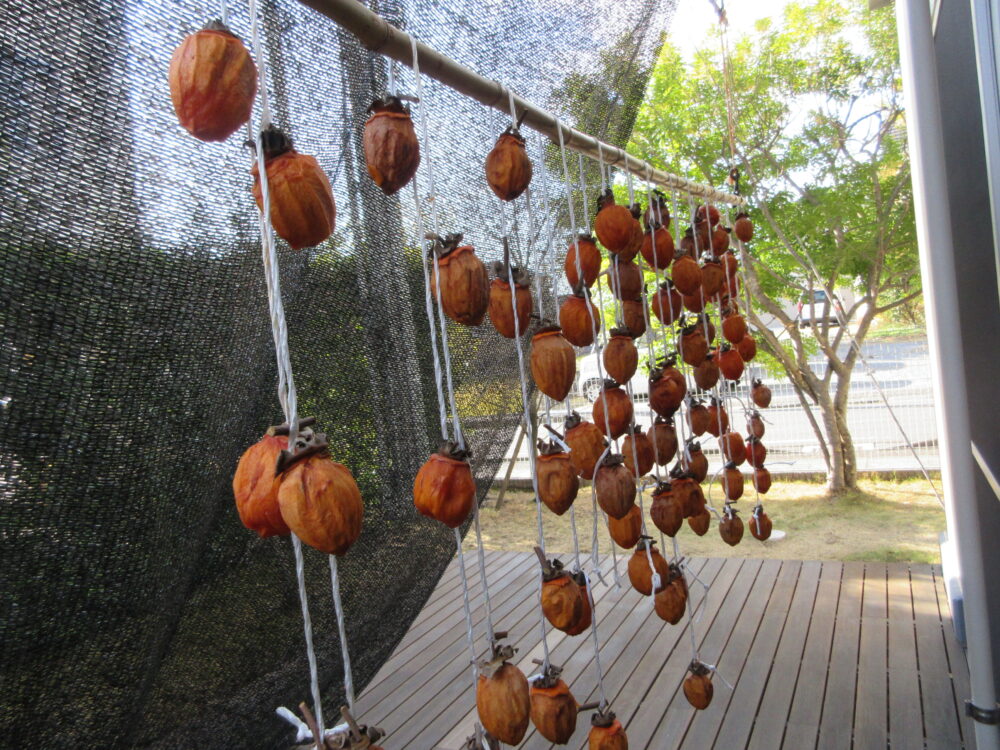 静岡市葵区老人ホーム_干し柿づくり