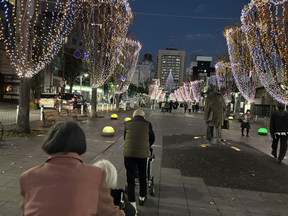 静岡市葵区老人ホーム_イルミネーション見物