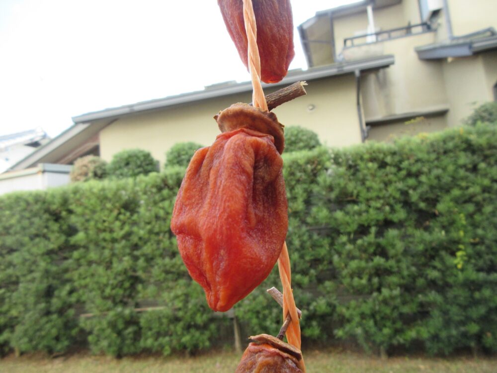 静岡市葵区老人ホーム_干し柿作り