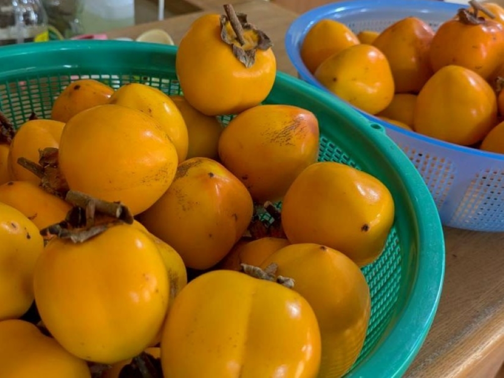 駿東郡長泉町老人ホーム_つくって・食べて・楽しむ！干し柿チャレンジ