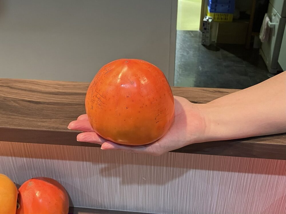 静岡市駿河区老人ホーム_干し柿づくり