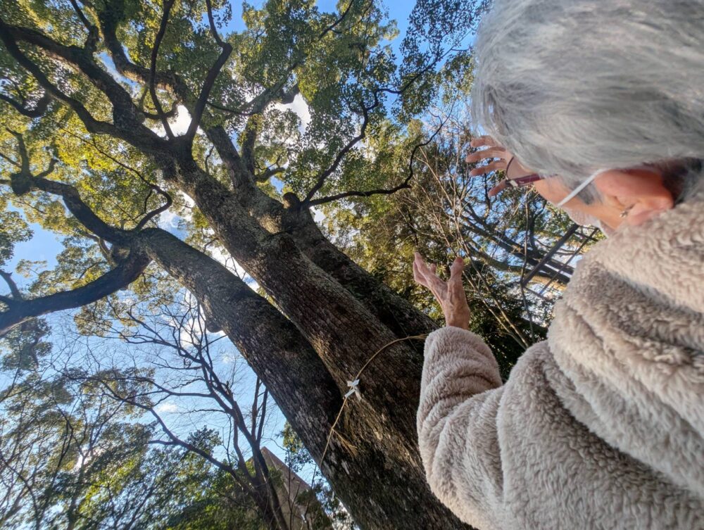 静岡市葵区老人ホーム_熊野神社への初詣ドライブ
