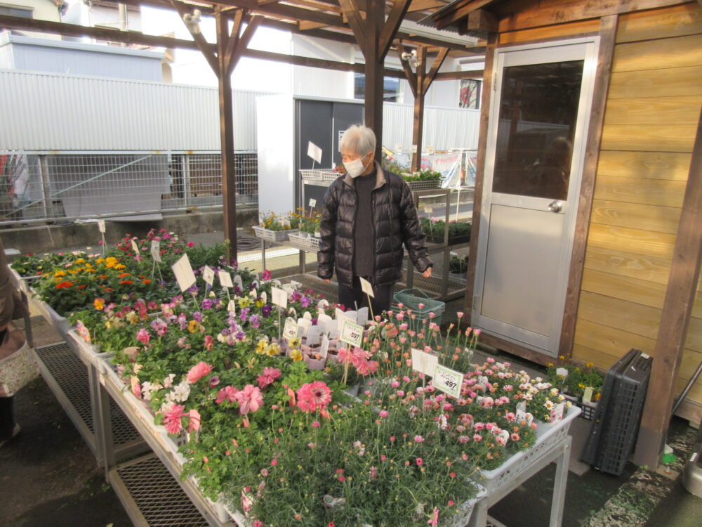 静岡市葵区老人ホーム_生活リハビリ「園芸クラブ」