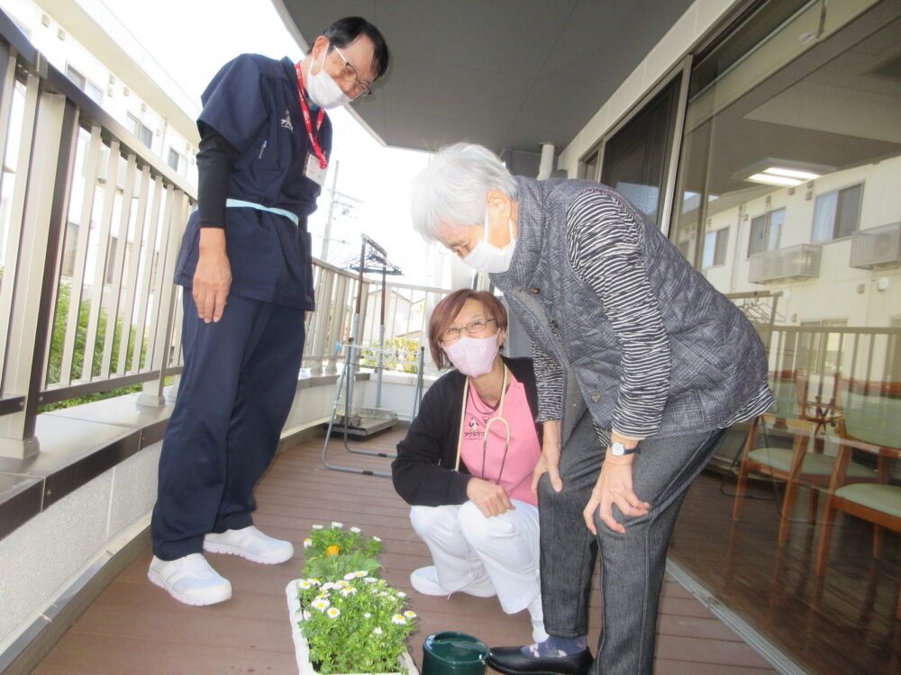 静岡市葵区老人ホーム_生活リハビリ「園芸クラブ」