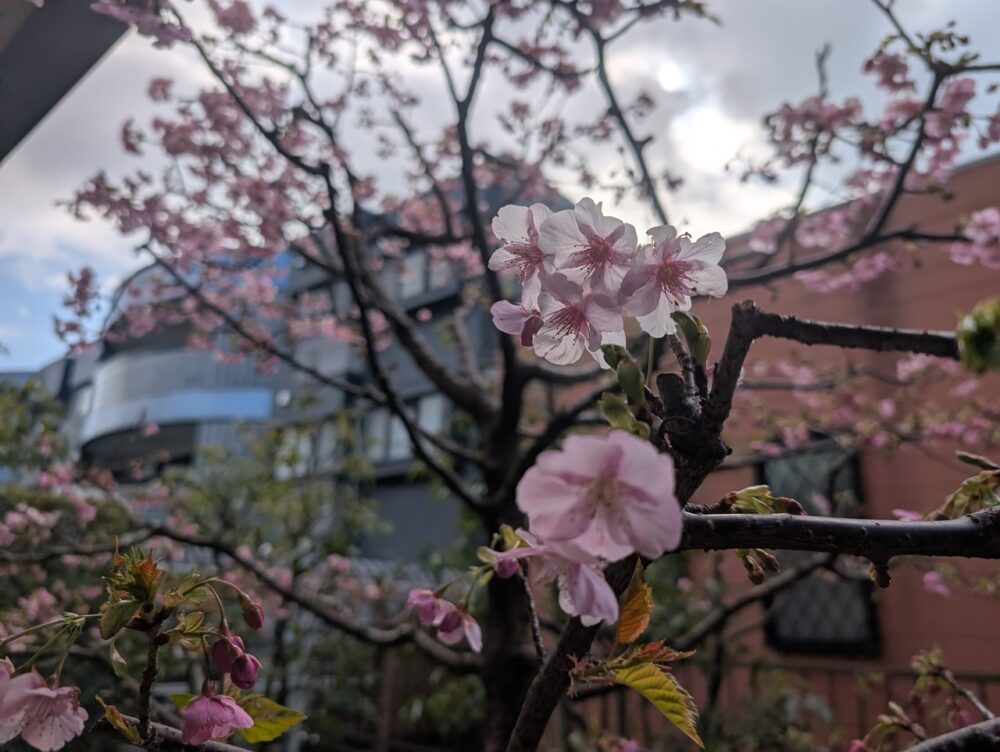 静岡市老人ホーム_2m40cm巨大鬼　節分豆まき大会