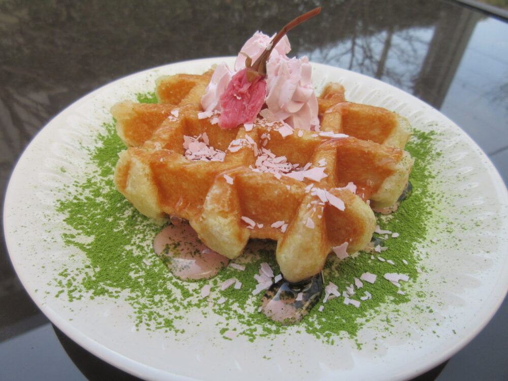 静岡市葵区老人ホーム_春まつり