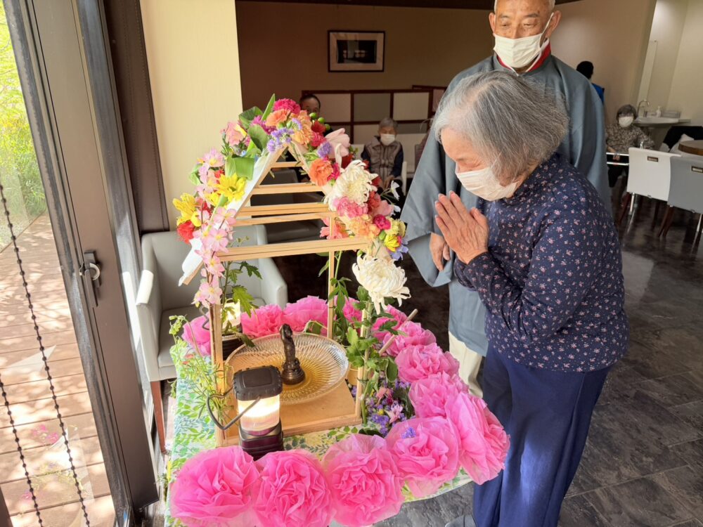 静岡市駿河区老人ホーム_2026年「色とりどりの花の祭典『花祭り』