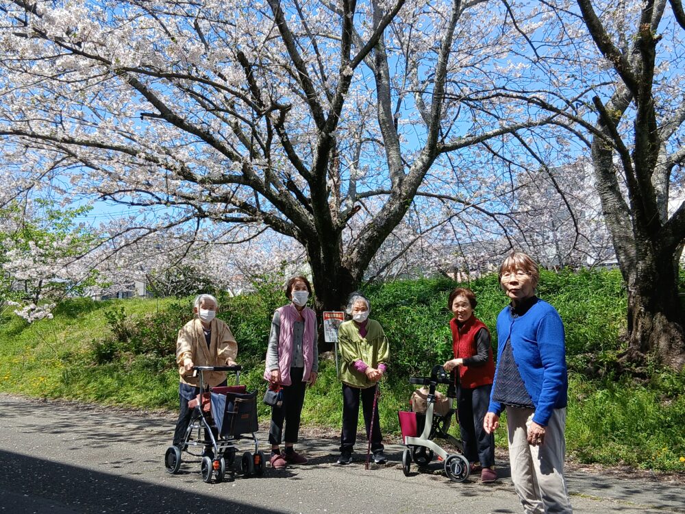 藤枝市老人ホーム_４月の風物詩「桜」