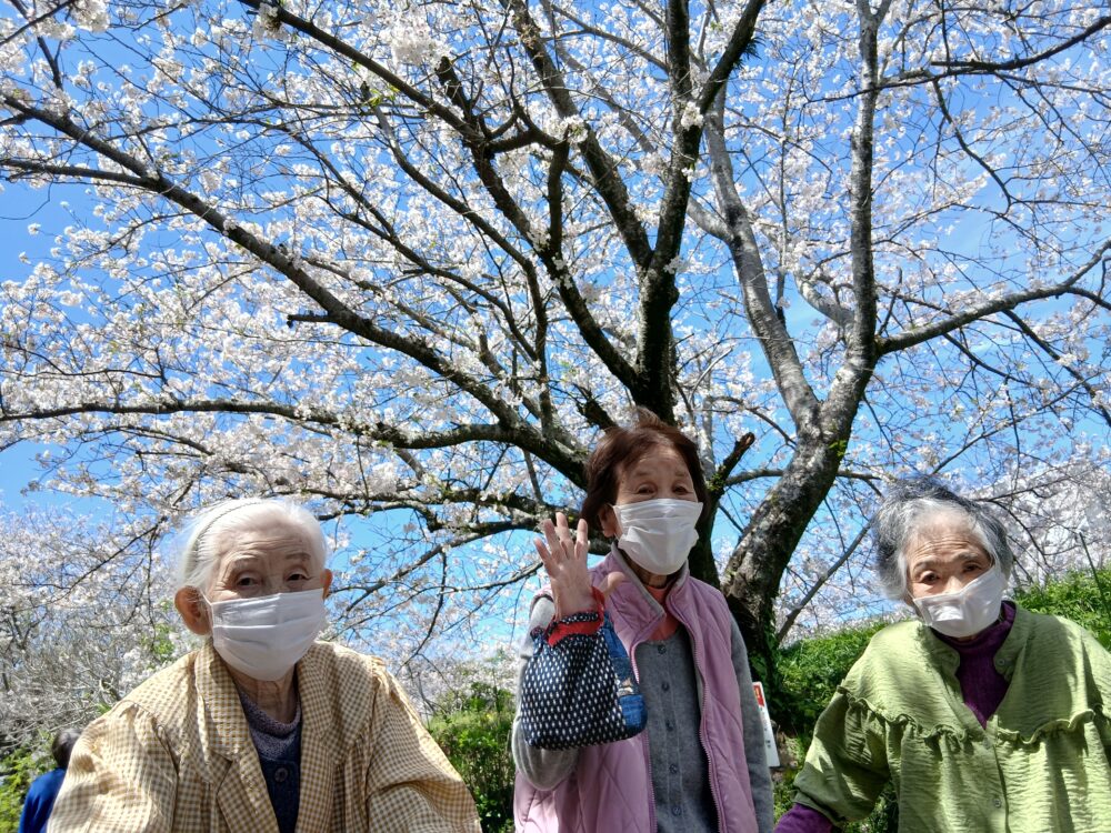 藤枝市老人ホーム_４月の風物詩「桜」