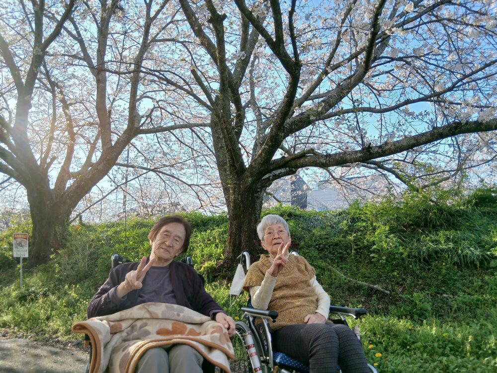 藤枝市老人ホーム_４月の風物詩「桜」