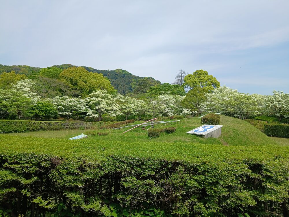 静岡市葵区老人ホーム_なんじゃもんじゃ見物（城北公園）