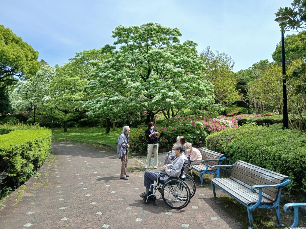 静岡市葵区老人ホーム_なんじゃもんじゃ見物（城北公園）