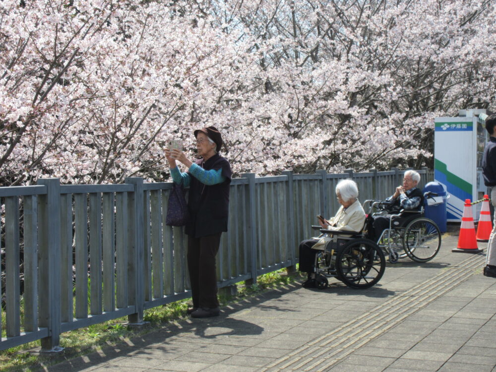 静岡市葵区老人ホーム_お花見散歩