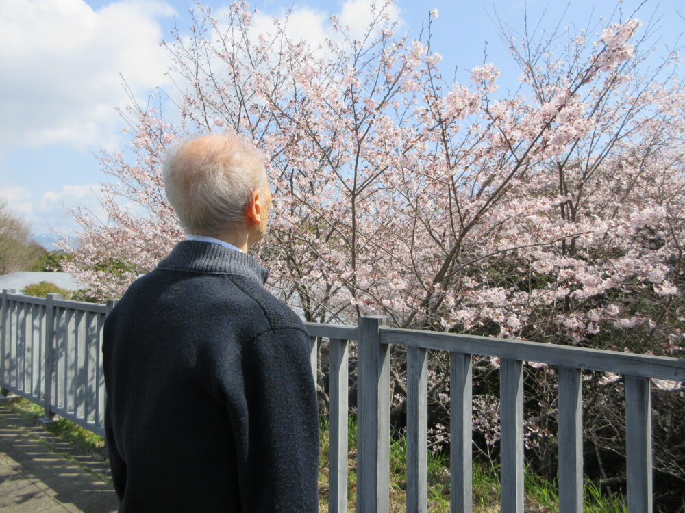 静岡市葵区老人ホーム_お花見散歩
