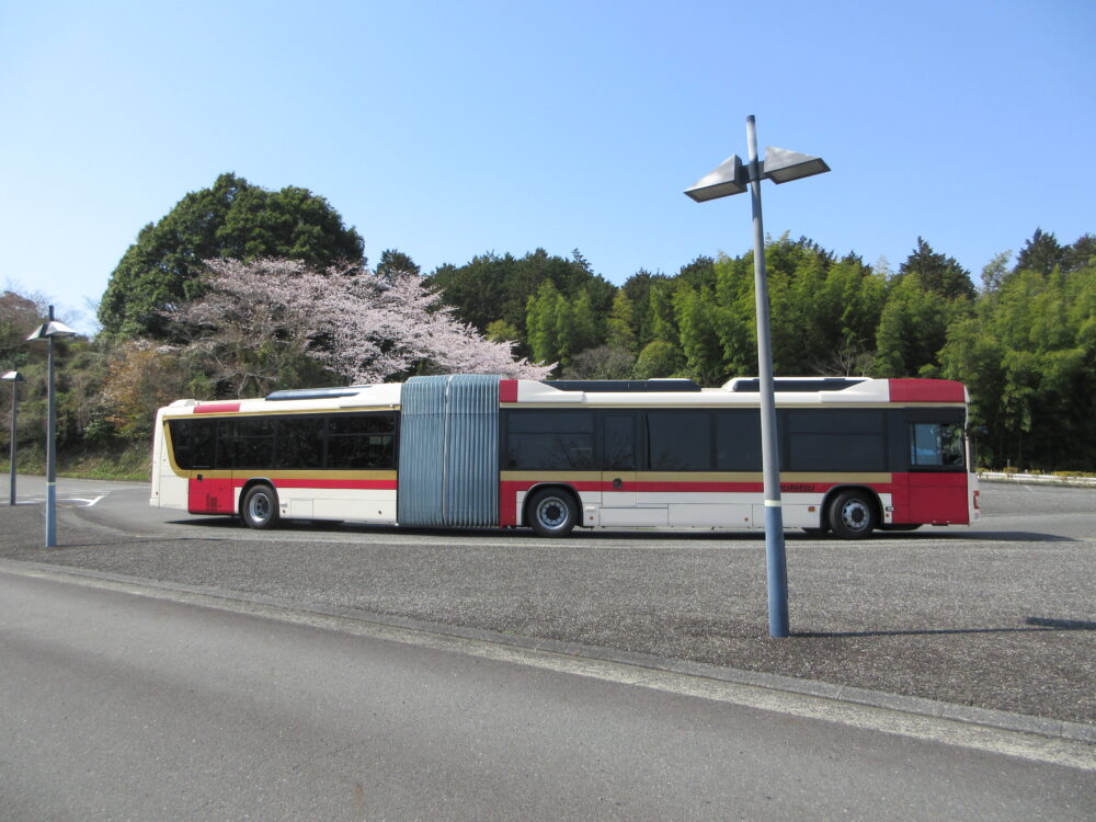 静岡市葵区老人ホーム_お花見散歩