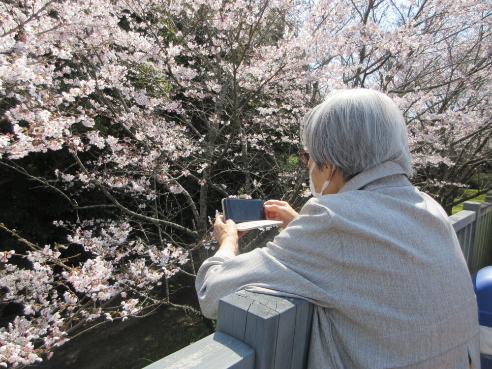 静岡市葵区老人ホーム_お花見散歩