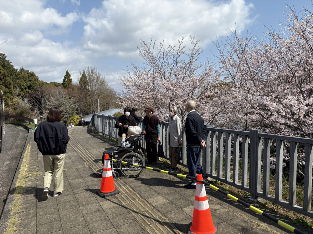 静岡市葵区老人ホーム_お花見散歩