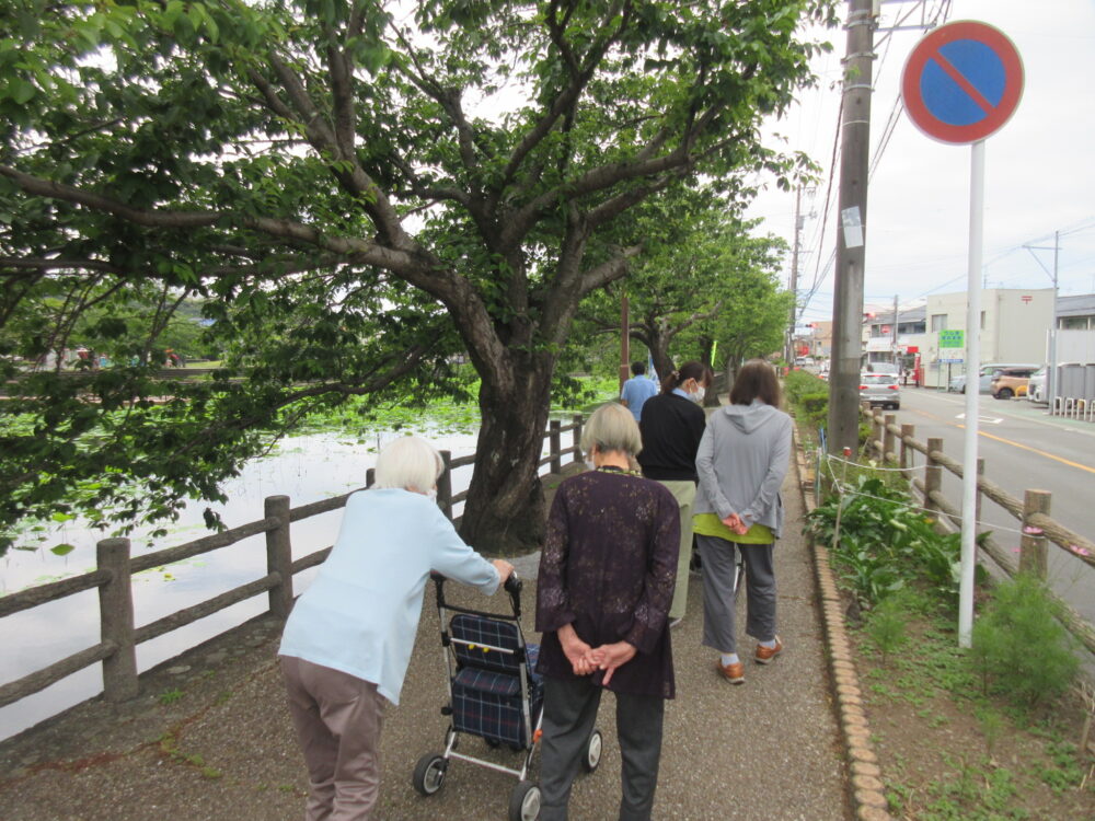 静岡市葵区老人ホーム_紫陽花見物　小鹿公園へ