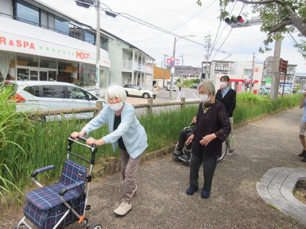 静岡市葵区老人ホーム_紫陽花見物　小鹿公園へ