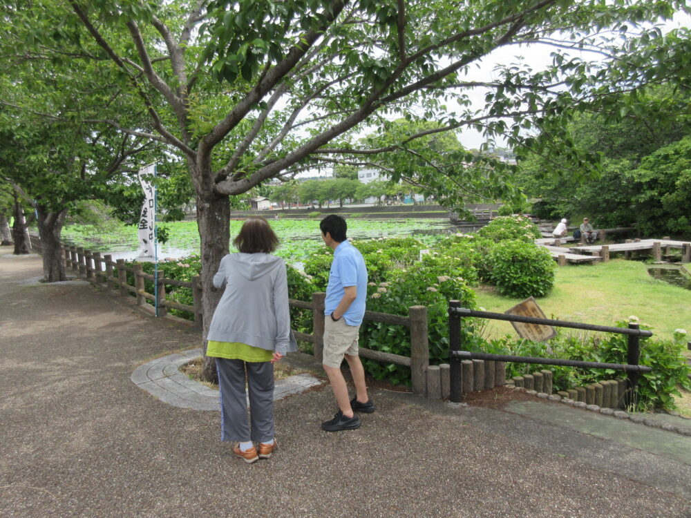 静岡市葵区老人ホーム_紫陽花見物　小鹿公園へ