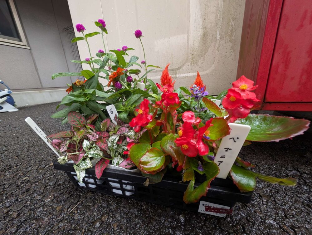 静岡市葵区老人ホーム_園芸クラブの活動スタート