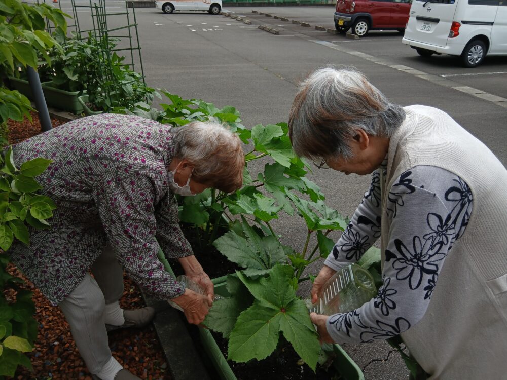 藤枝市老人ホーム_夏野菜の「収穫・調理・消費」