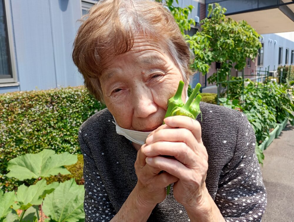 藤枝市老人ホーム_夏野菜の「収穫・調理・消費」