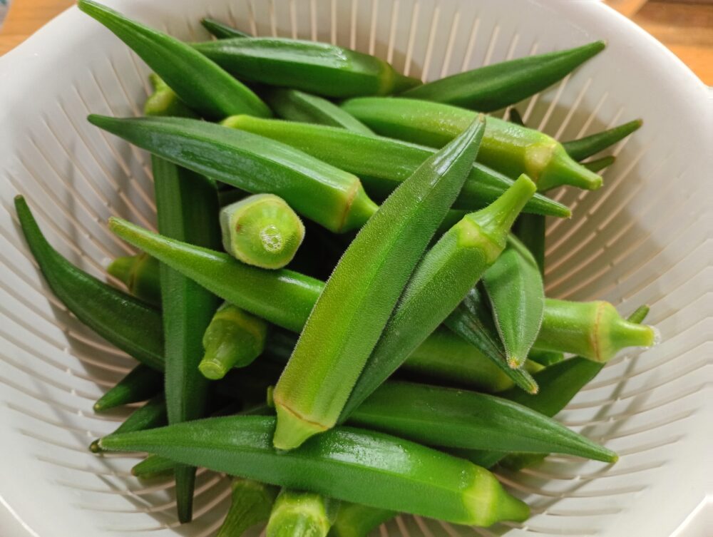 藤枝市老人ホーム_夏野菜の「収穫・調理・消費」