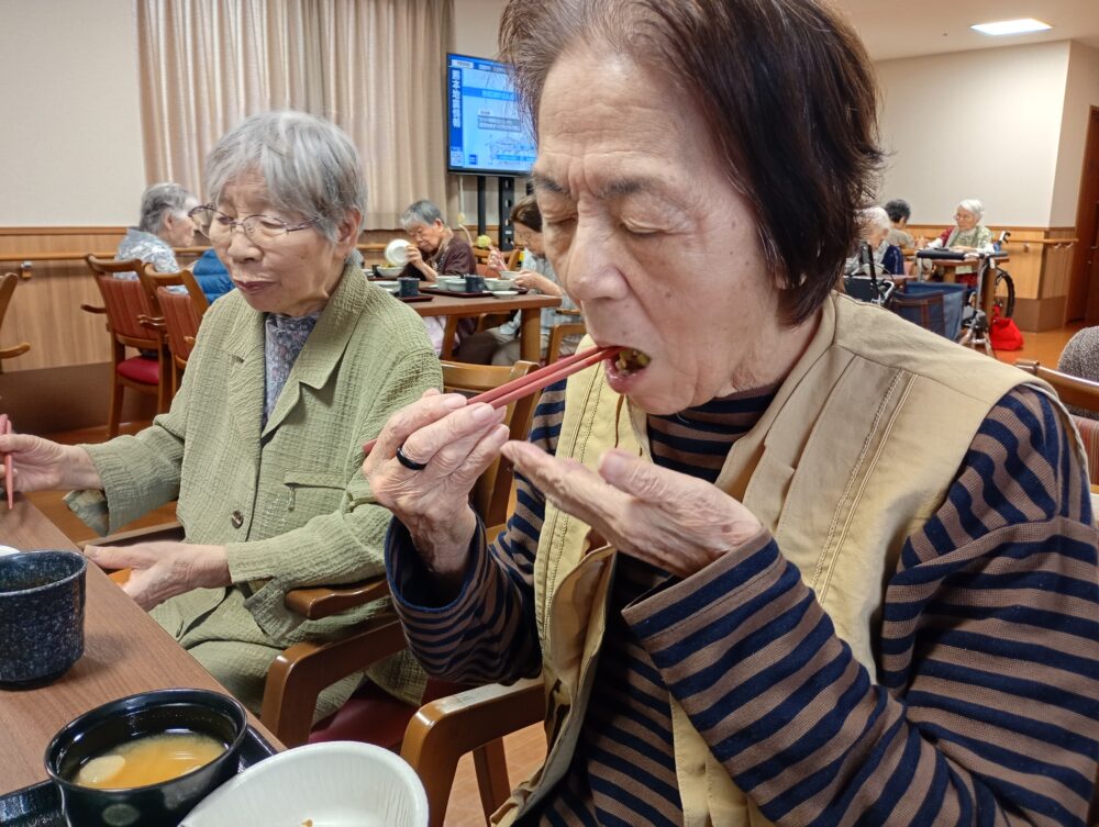 藤枝市老人ホーム_夏野菜の「収穫・調理・消費」