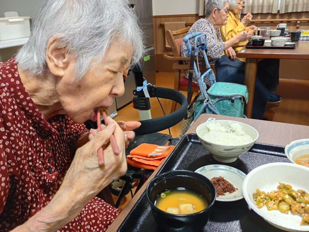 藤枝市老人ホーム_夏野菜の「収穫・調理・消費」