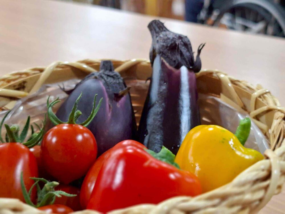 駿東郡長泉町老人ホーム_食事イベント　～旬の野菜がゴロゴロ！夏野菜カレー～