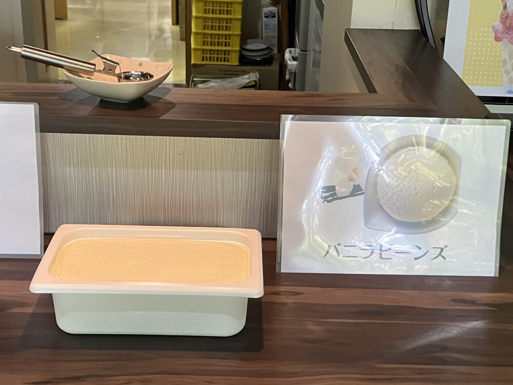 静岡市駿河区老人ホーム_ひんやりおいしいアイスクリームレク