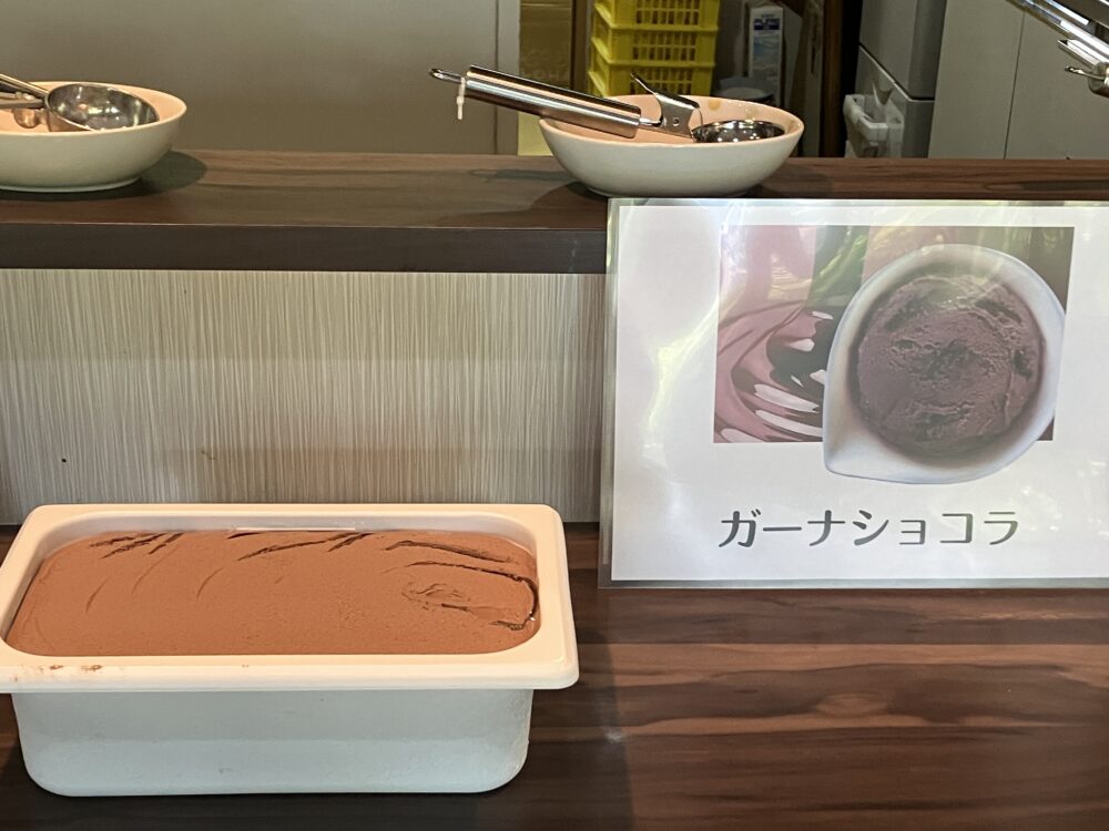 静岡市駿河区老人ホーム_ひんやりおいしいアイスクリームレク
